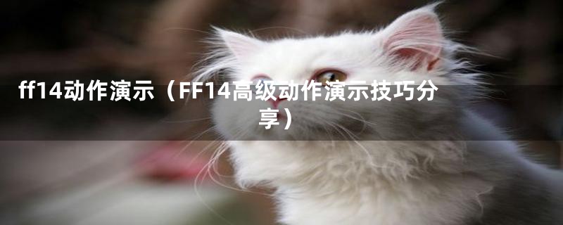 ff14动作演示（FF14高级动作演示技巧分享）