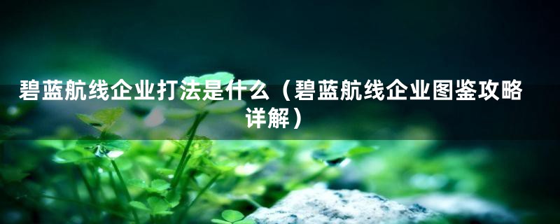 碧蓝航线企业打法是什么（碧蓝航线企业图鉴攻略详解）