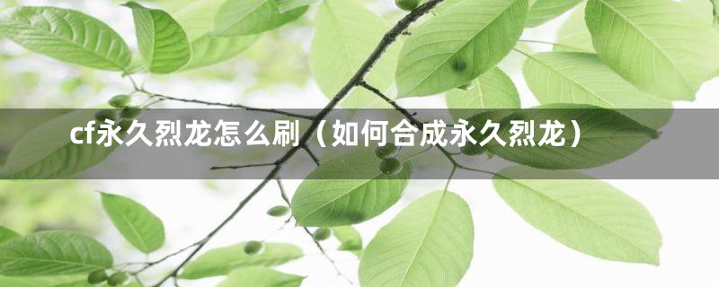 cf永久烈龙怎么刷（如何合成永久烈龙）