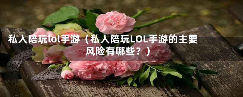 私人陪玩lol手游（私人陪玩LOL手游的主要风险有哪些？）