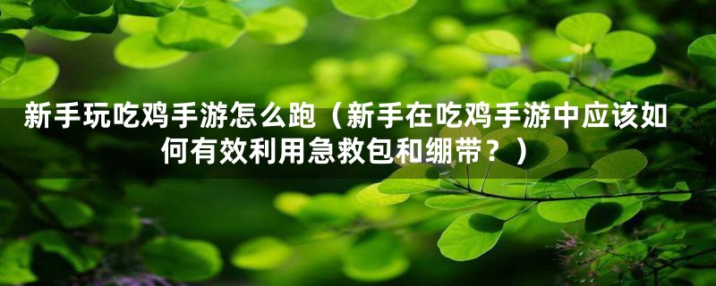 新手玩吃鸡手游怎么跑（新手在吃鸡手游中应该如何有效利用急救包和绷带？）