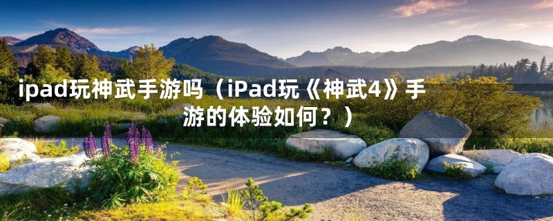 ipad玩神武手游吗（iPad玩《神武4》手游的体验如何？）