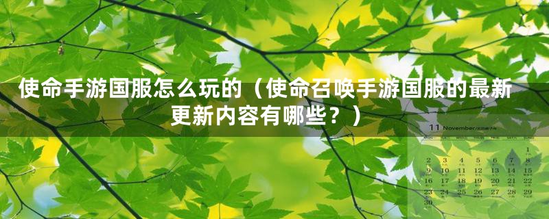 使命手游国服怎么玩的（使命召唤手游国服的最新更新内容有哪些？）