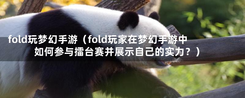 fold玩梦幻手游（fold玩家在梦幻手游中如何参与擂台赛并展示自己的实力？）