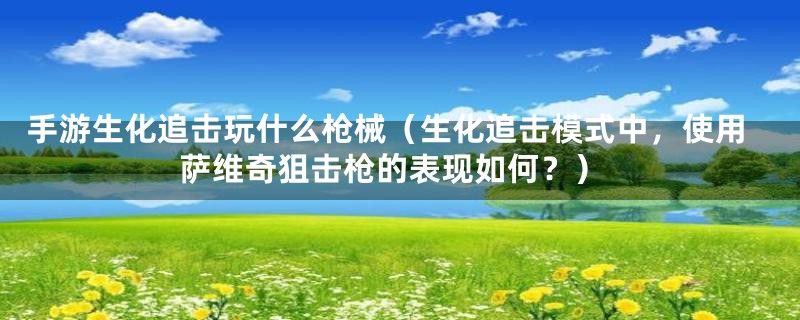 手游生化追击玩什么枪械（生化追击模式中，使用萨维奇狙击枪的表现如何？）