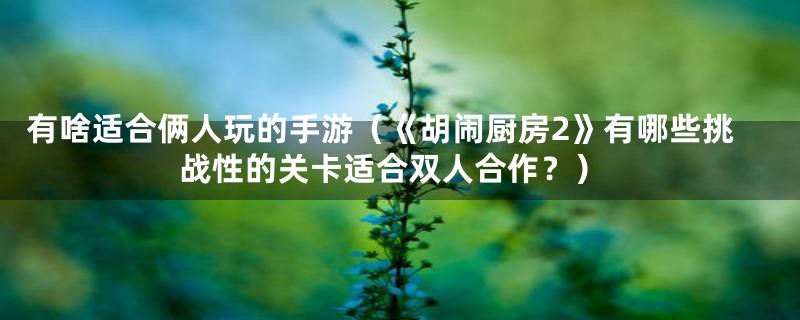 有啥适合俩人玩的手游（《胡闹厨房2》有哪些挑战性的关卡适合双人合作？）