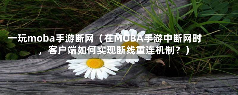 一玩moba手游断网（在MOBA手游中断网时，客户端如何实现断线重连机制？）