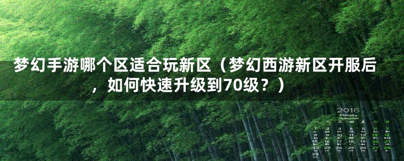 梦幻手游哪个区适合玩新区（梦幻西游新区开服后，如何快速升级到70级？）