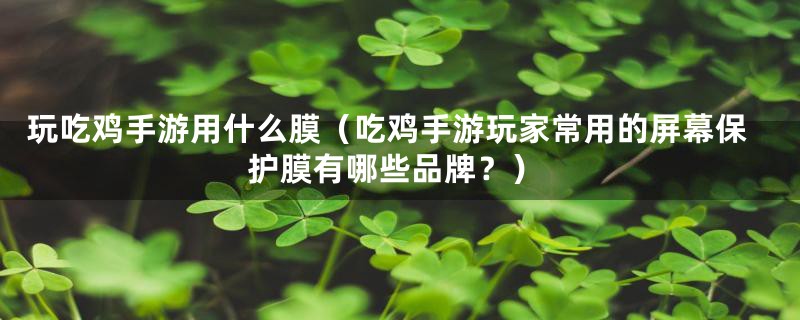 玩吃鸡手游用什么膜（吃鸡手游玩家常用的屏幕保护膜有哪些品牌？）