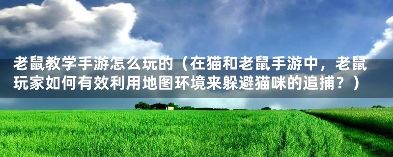 老鼠教学手游怎么玩的（在猫和老鼠手游中，老鼠玩家如何有效利用地图环境来躲避猫咪的追捕？）