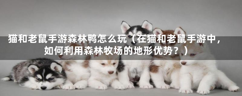 猫和老鼠手游森林鸭怎么玩（在猫和老鼠手游中，如何利用森林牧场的地形优势？）