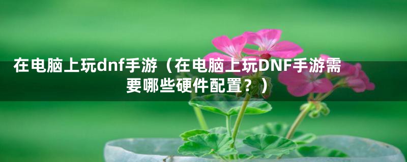 在电脑上玩dnf手游（在电脑上玩DNF手游需要哪些硬件配置？）