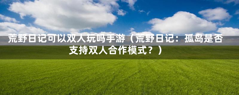 荒野日记可以双人玩吗手游（荒野日记：孤岛是否支持双人合作模式？）