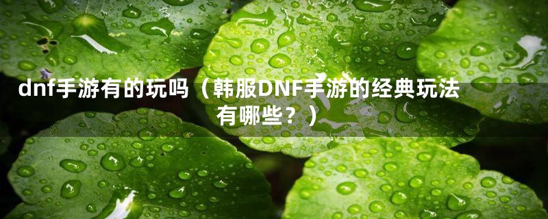 dnf手游有的玩吗（韩服DNF手游的经典玩法有哪些？）