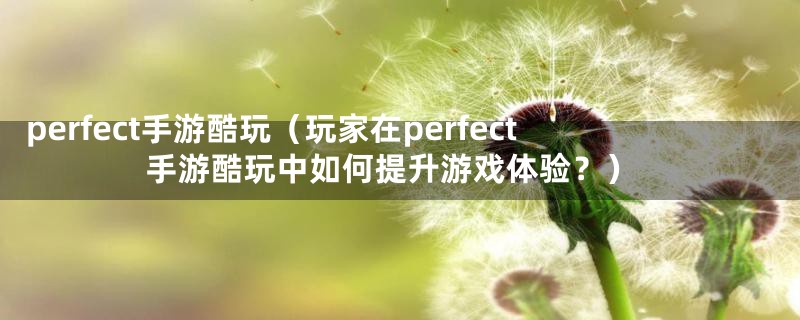 perfect手游酷玩（玩家在perfect手游酷玩中如何提升游戏体验？）