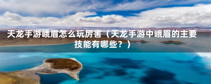 天龙手游峨眉怎么玩厉害（天龙手游中峨眉的主要技能有哪些？）