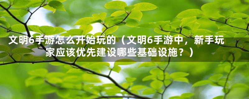 文明6手游怎么开始玩的（文明6手游中，新手玩家应该优先建设哪些基础设施？）