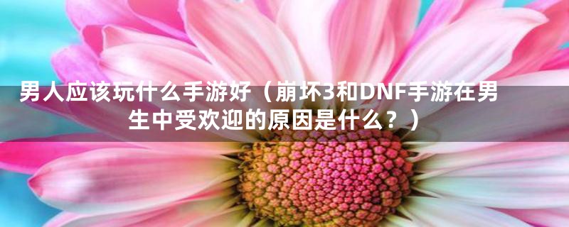 男人应该玩什么手游好（崩坏3和DNF手游在男生中受欢迎的原因是什么？）