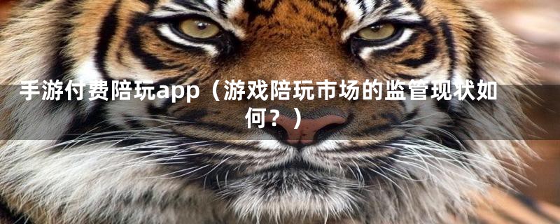 手游付费陪玩app（游戏陪玩市场的监管现状如何？）