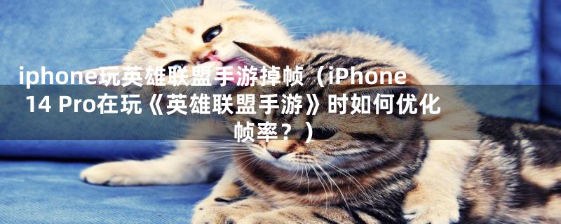 iphone玩英雄联盟手游掉帧（iPhone 14 Pro在玩《英雄联盟手游》时如何优化帧率？）