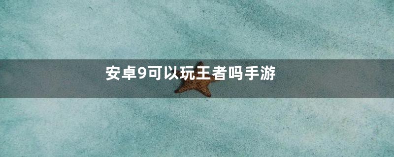 安卓9可以玩王者吗手游