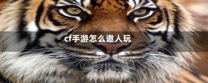 cf手游怎么邀人玩