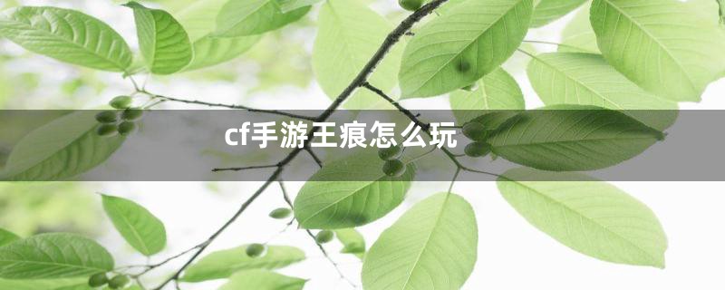 cf手游王痕怎么玩