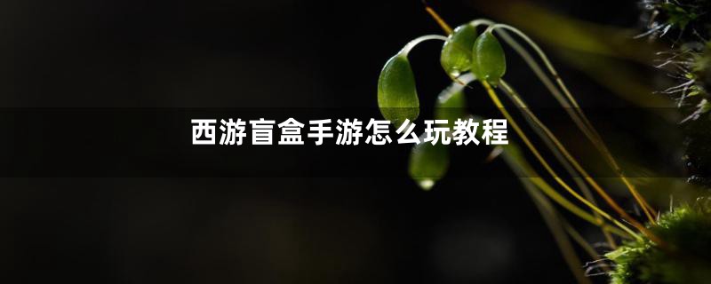 西游盲盒手游怎么玩教程