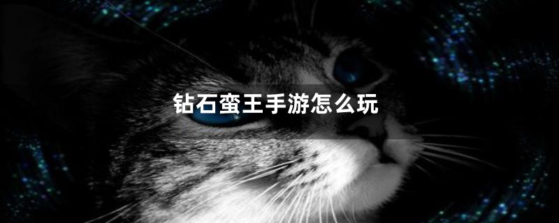 钻石蛮王手游怎么玩