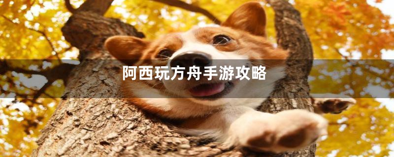 阿西玩方舟手游攻略