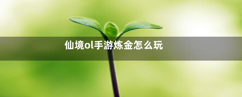 仙境ol手游炼金怎么玩