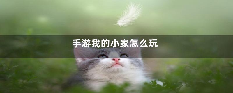 手游我的小家怎么玩