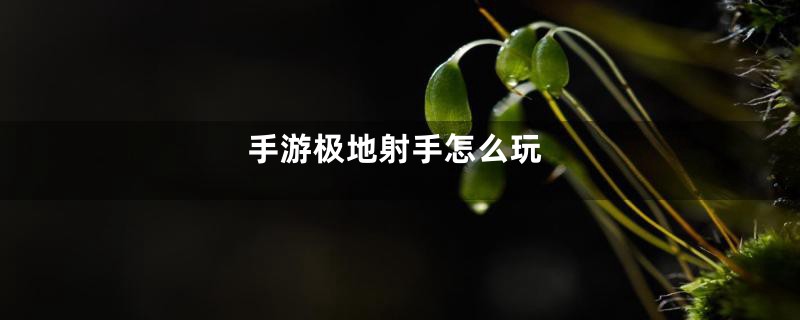 手游极地射手怎么玩