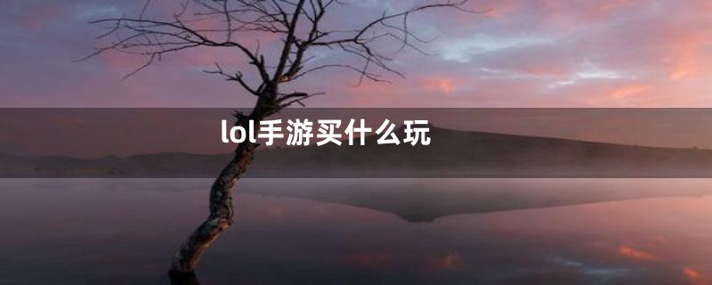 lol手游买什么玩