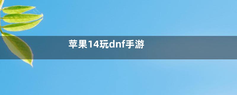 苹果14玩dnf手游