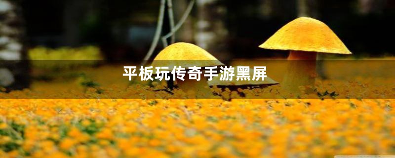 平板玩传奇手游黑屏