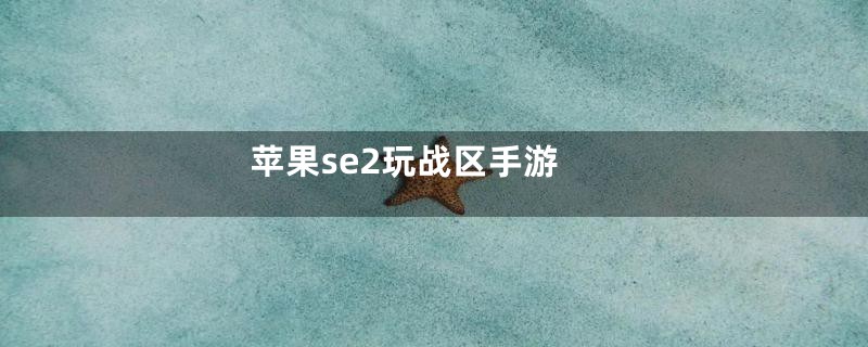 苹果se2玩战区手游