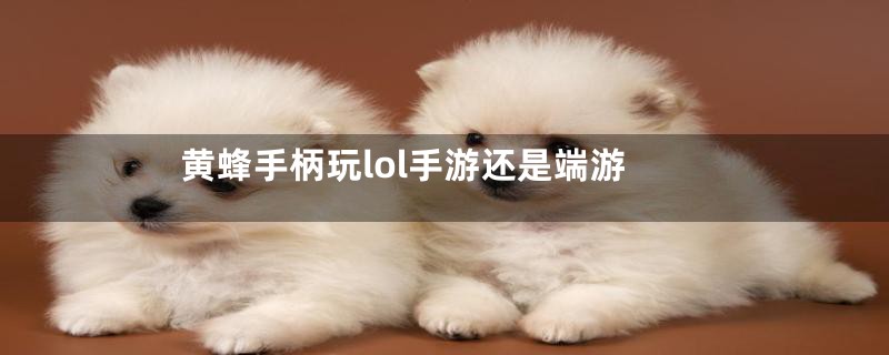 黄蜂手柄玩lol手游还是端游