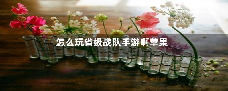 怎么玩省级战队手游啊苹果