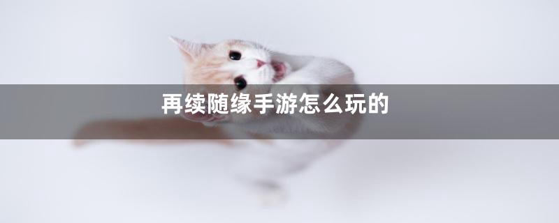 再续随缘手游怎么玩的