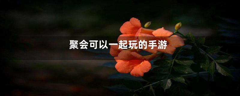 聚会可以一起玩的手游