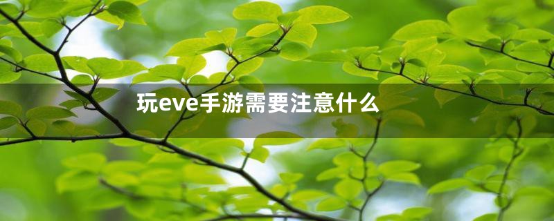 玩eve手游需要注意什么