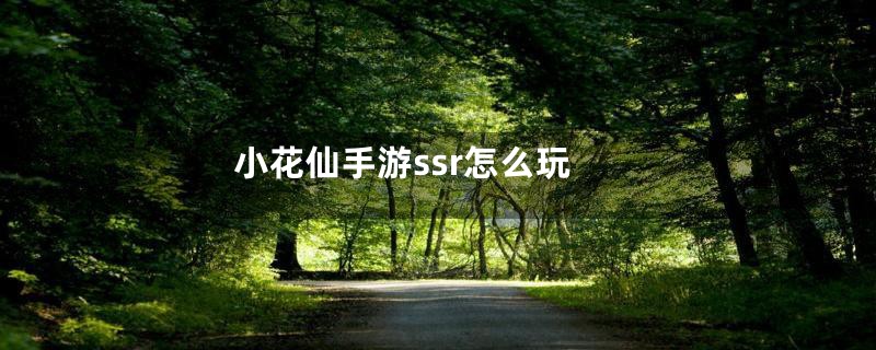 小花仙手游ssr怎么玩