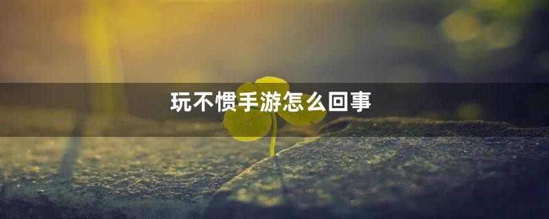 玩不惯手游怎么回事