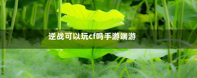 逆战可以玩cf吗手游端游