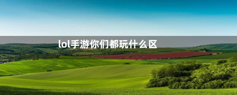 lol手游你们都玩什么区