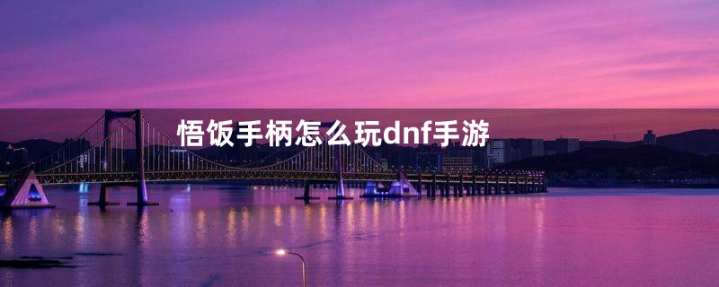 悟饭手柄怎么玩dnf手游