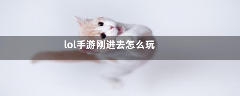 lol手游刚进去怎么玩