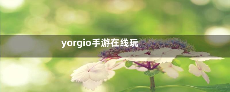 yorgio手游在线玩