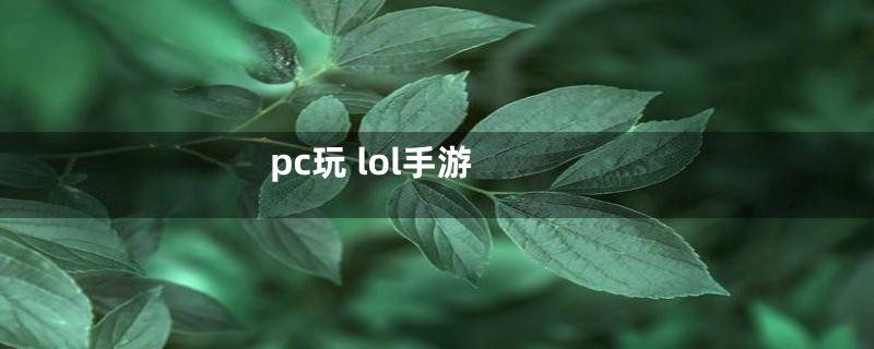 pc玩 lol手游